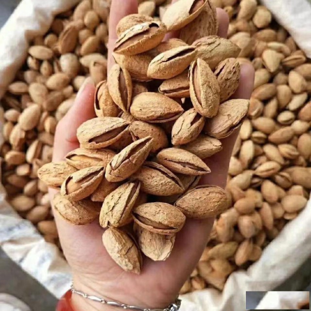 三分钟让你了解进口西班牙巴旦木清关方案是什么样的