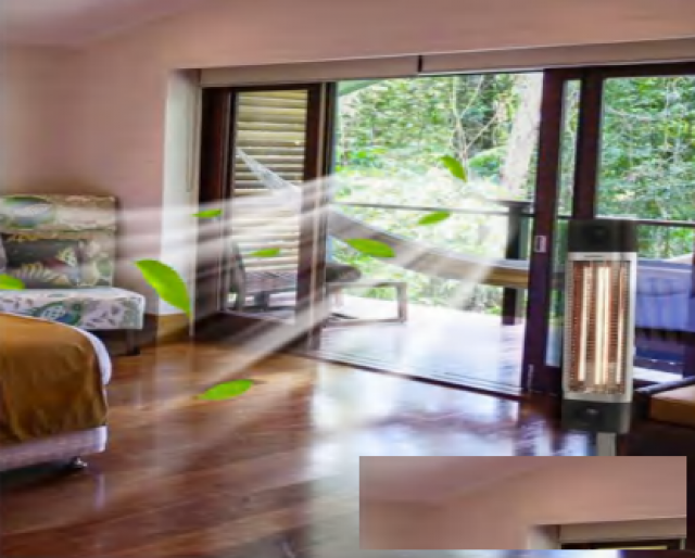 伟而特在家也能晒太阳