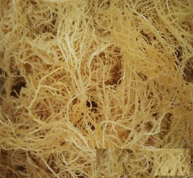 麒麟菜怎么进口，麒麟菜进口清关单证