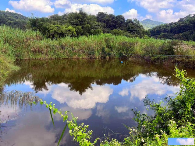 从化区城郊旅游区附近83亩山地果园鱼塘庄园整体转让