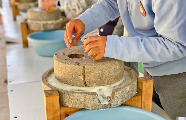 惠州亲子游：果盛生态园一日游精彩回顾