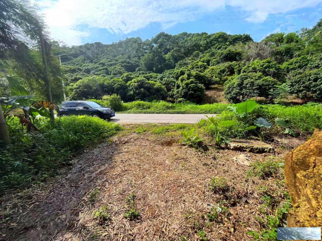 从化区温泉镇5亩农用设施配套建设用地整体转让