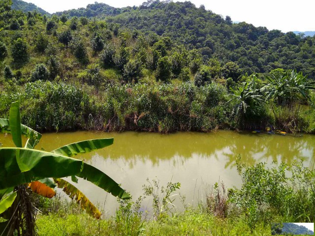 从化区温泉石门旅游区附近70亩果园鱼塘农庄整体转让
