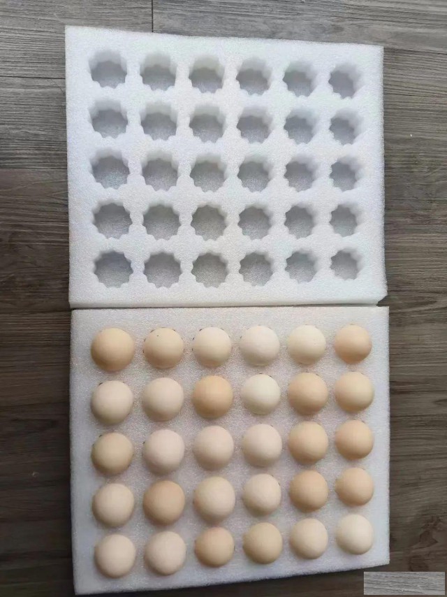 新乡珍珠棉，时尚环保选择不容错过！