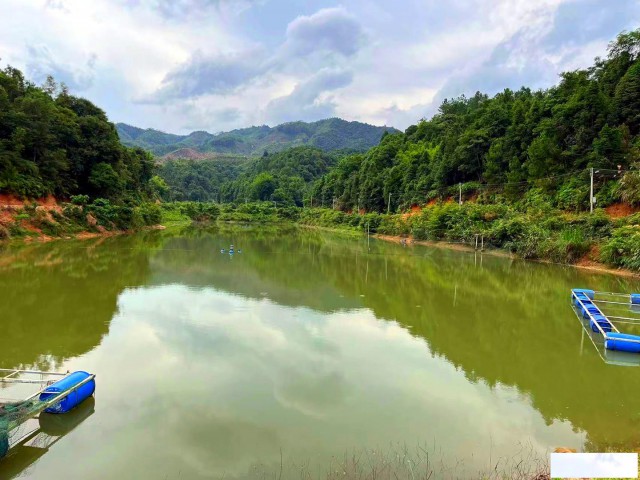 从化区吕田镇附近约400亩活水鱼塘养殖场整体出租