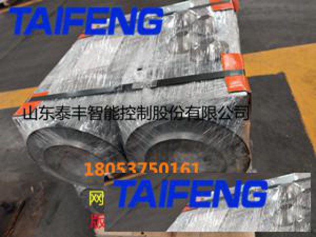 泰丰股份专业生产WC67Y-300DG折弯机油缸