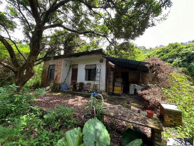 从化区城郊旅游区附近25亩平地果园楼房农庄整体转让