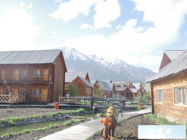 论伟而特在民宿上的应用