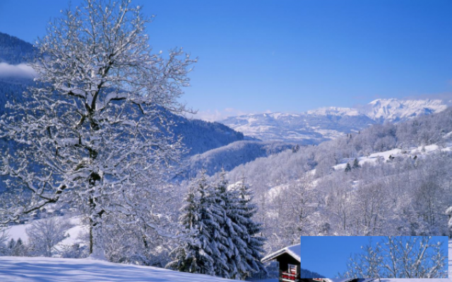 伟而特取暖器在阿尔卑斯高山民宿的应用案例分析