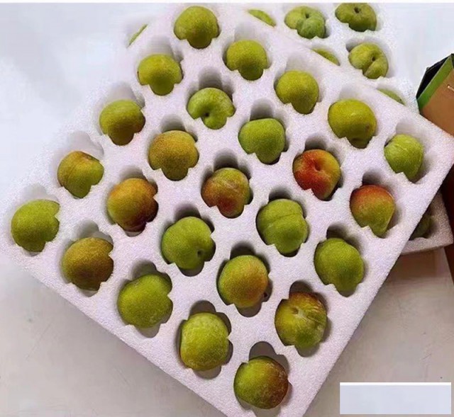 【天丰泡沫】一箱多用，泡沫箱打造物品安全避风港