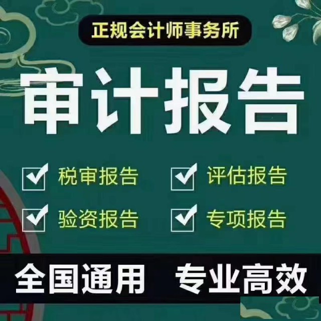 出审计报告全国通用