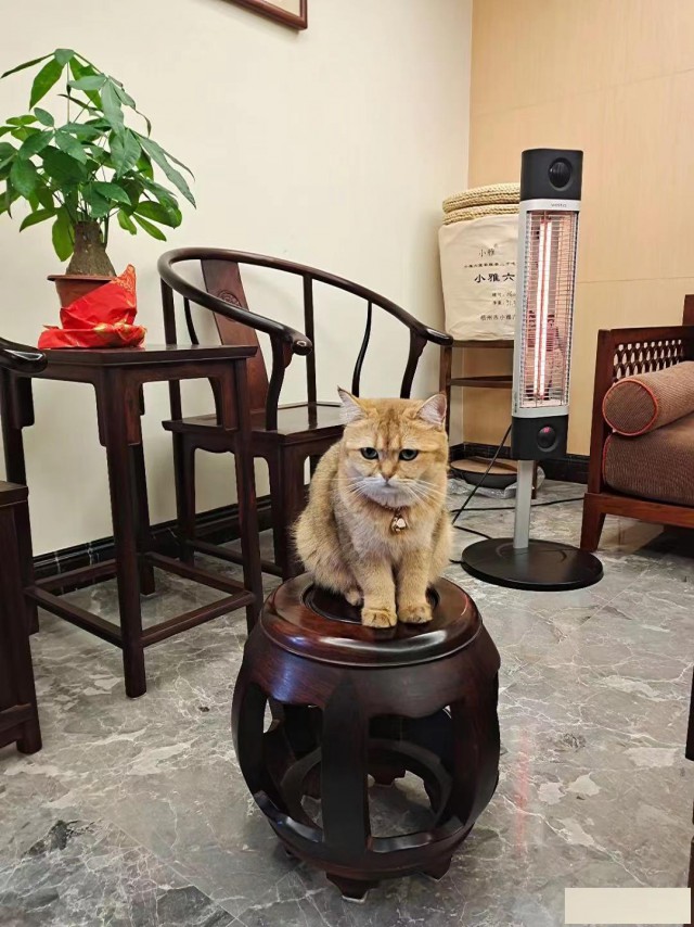 伟而特红外供暖真正解决了家庭节能难题