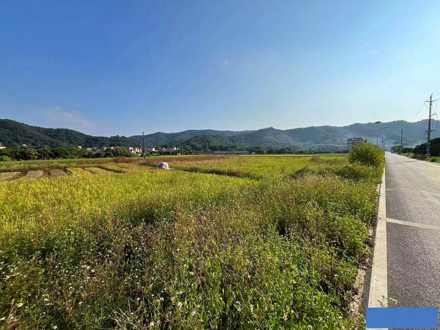 从化区棋杆墟附近村道边780亩耕地整体出租