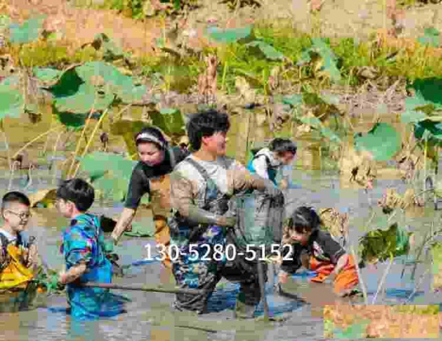 苏州研学基地趣味挖藕三六六社会实践邀你共赴田野体验探秘之旅