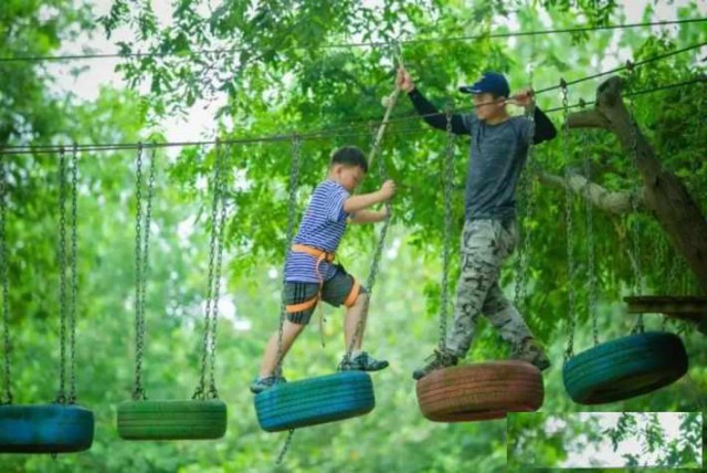 苏州青少年桐洲岛秘境探索三六六社会实践研学之旅火热报名中