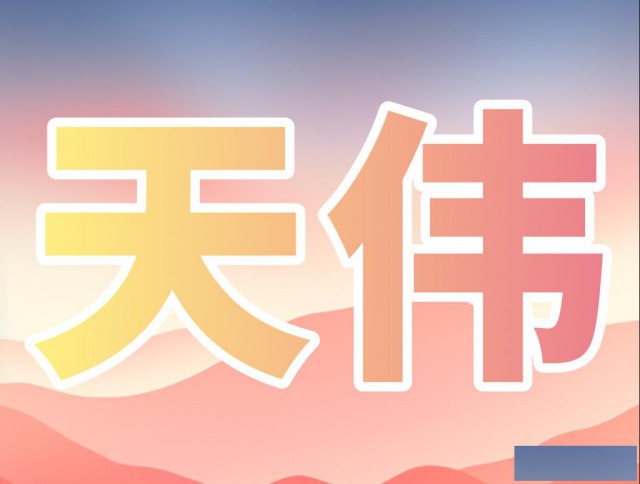 朗科U盘数据恢复/天伟