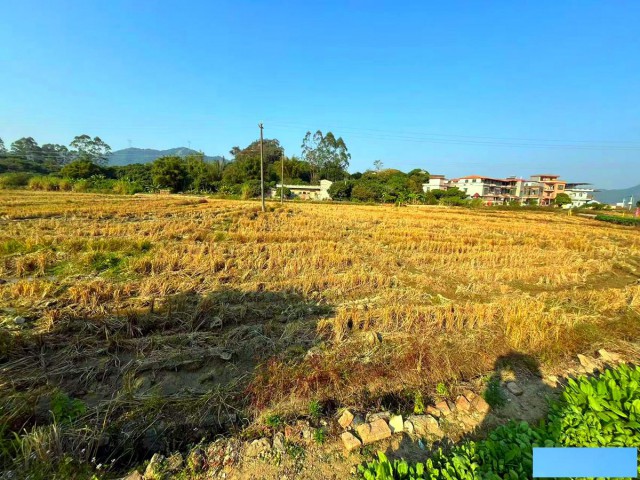 从化区鳌头镇附近有180亩耕地整体出租