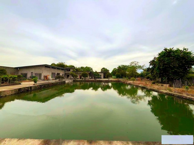 从化区城郊街附近5亩土地鱼塘楼房民宿庄园整体转让