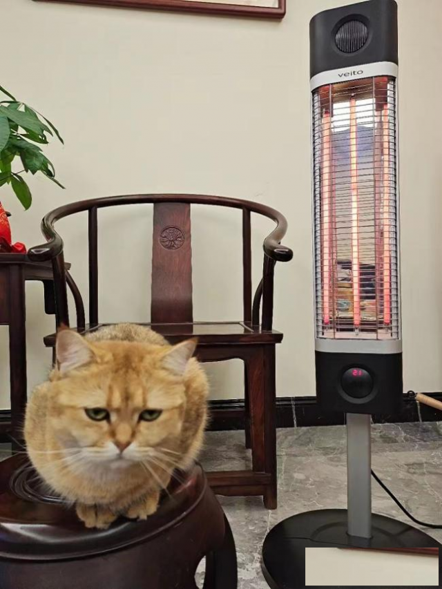 伟而特红外供暖：宠物家庭的温暖守护者
