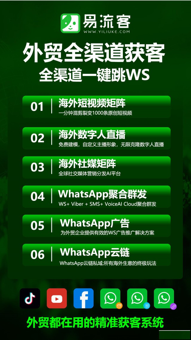 引领全球引流潮流：数字化时代的获客新纪元