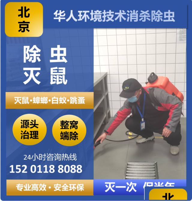西城区餐饮经营场所消杀除菌除味，灭蟑螂灭老鼠灭虫害等