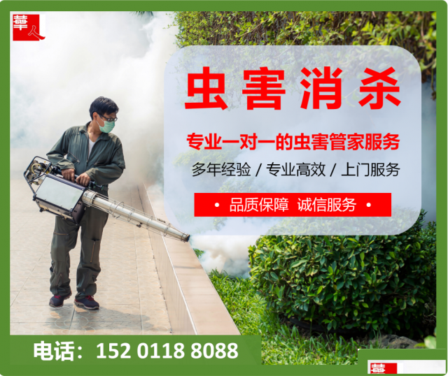 夏日公园树林户外儿童乐园场地，防蚊虫叮咬