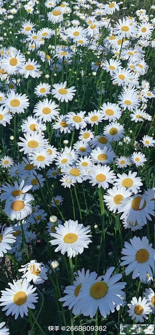 通州区公司注册地址