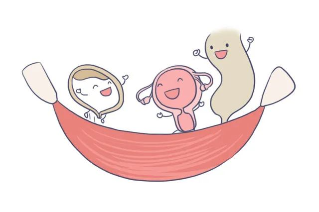 练好盆底肌有哪些好处