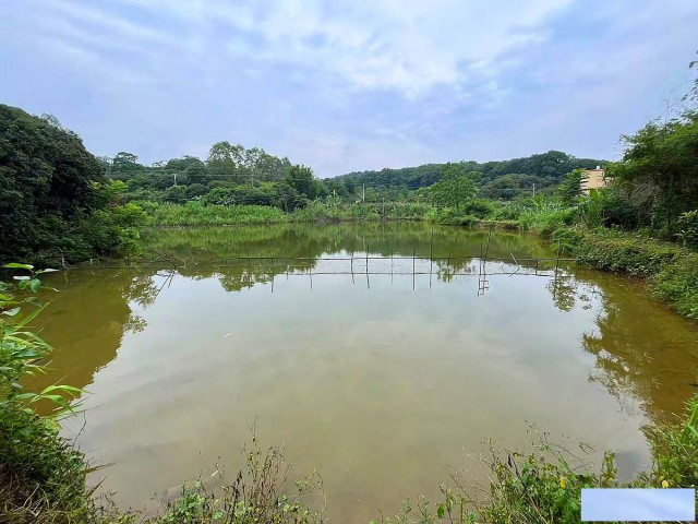 从化区有10亩鱼塘果园房屋庄园整体转让（