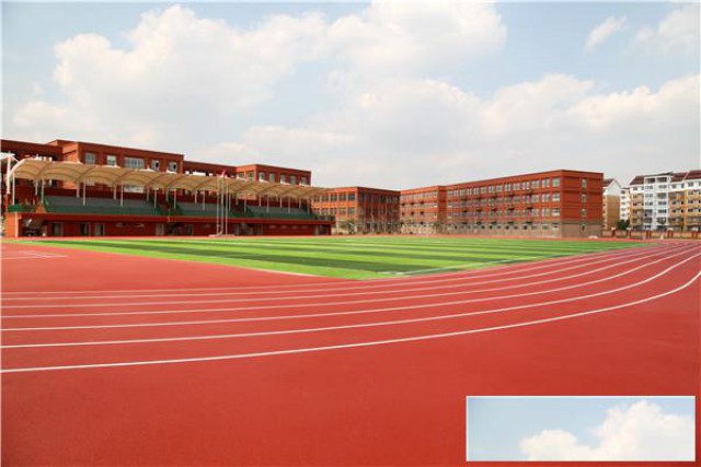 专业球场如何选择场地颜色