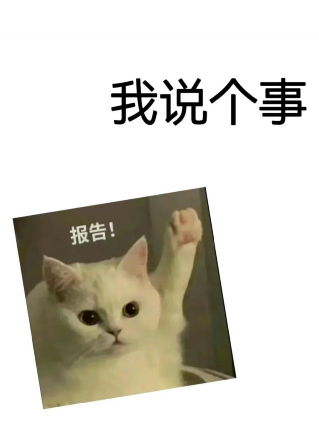 河南电力工程施工资质主导专业个人业绩的证明格式是什么