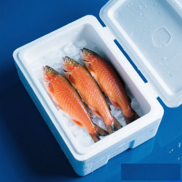 天丰泡沫箱：轻便环保，守护每一份新鲜