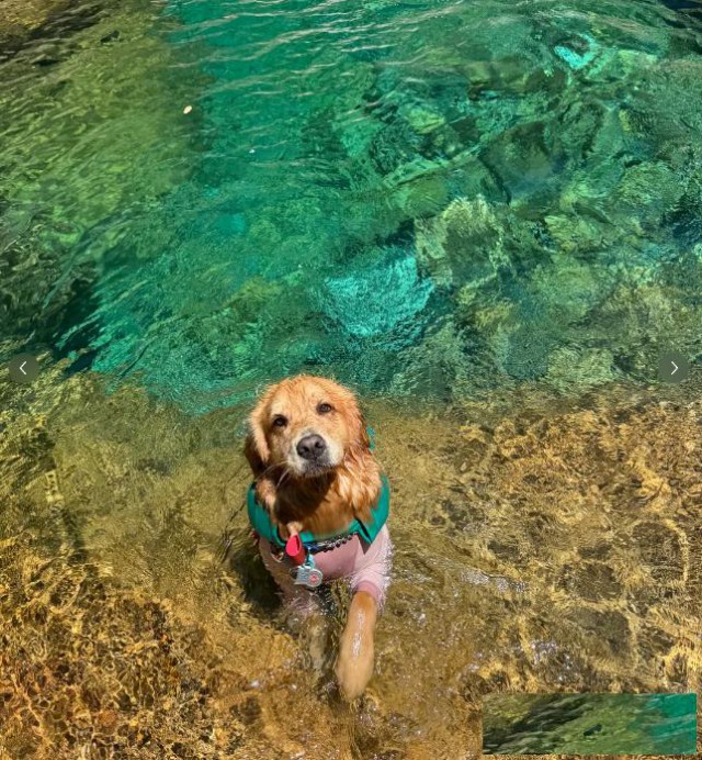 河南建筑工程设计资质未来发展