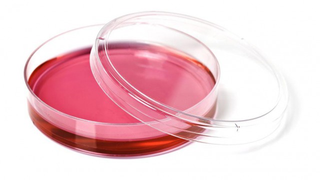 平板培养基灌装工艺全自动生产线