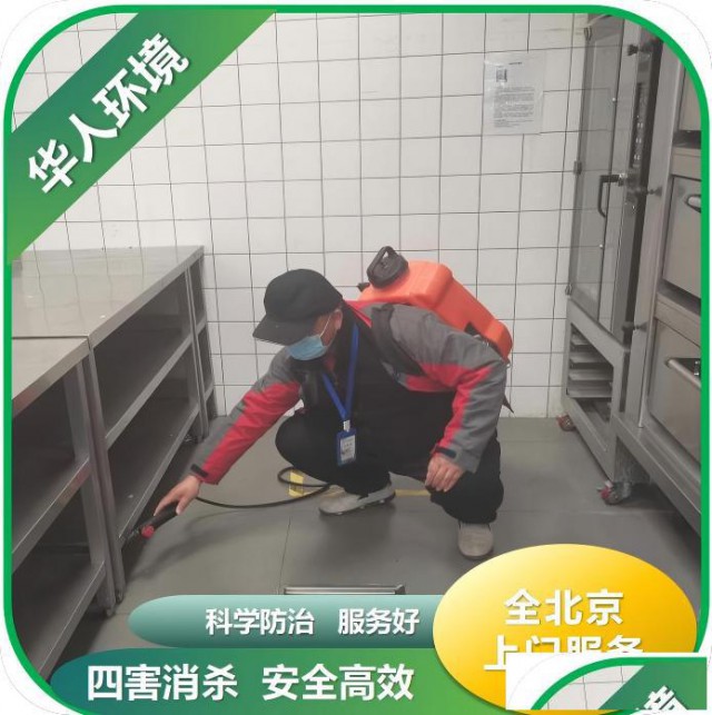 海淀区家庭住宅小区灭虫消杀灭蟑螂灭老鼠上门服务无效退款