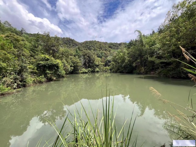 从化区良口镇268亩山地鱼塘楼房庄园整体转让