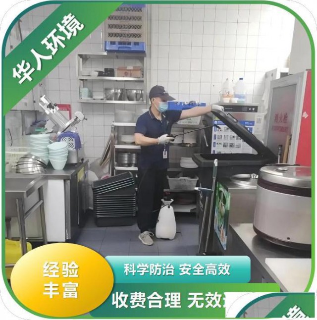 学校食堂餐厅灭蟑螂灭老鼠灭虫害环境消毒杀菌绿色环保安全无毒