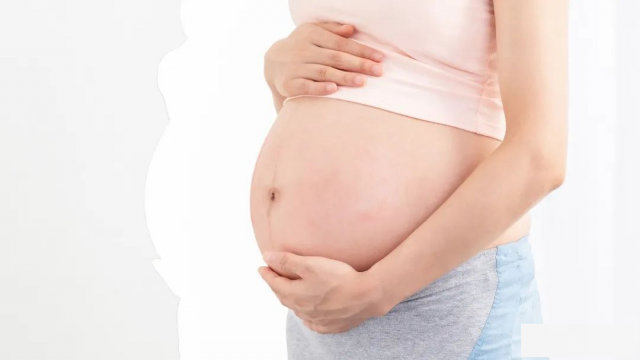 身体最忍辱负重的肌肉盆底肌