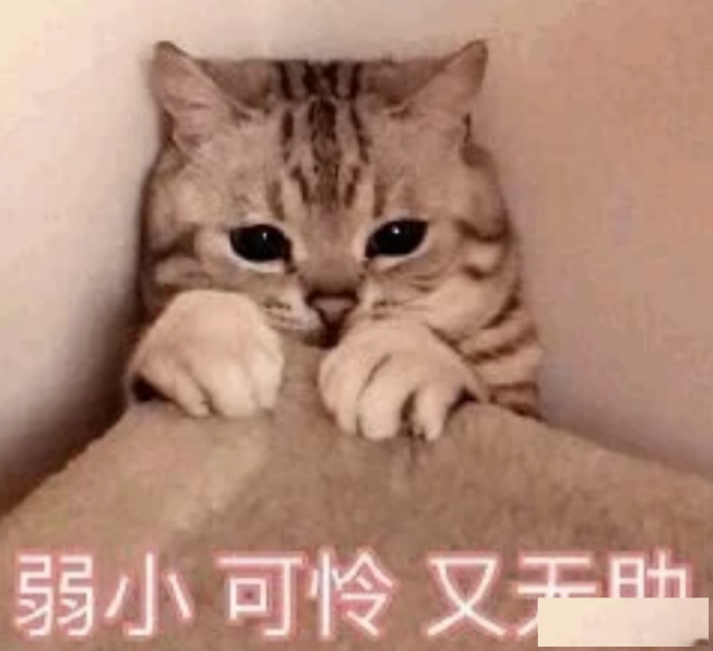 短视频难题克星中谦营销