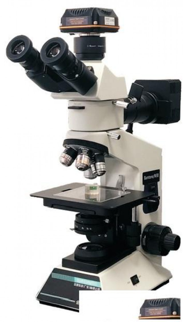 Bamtone班通：金相显微镜源头厂家，支持非标定制