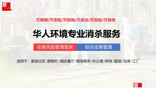 学校幼儿园环境消杀消毒灭蟑螂灭蚊蝇灭老鼠整园消杀