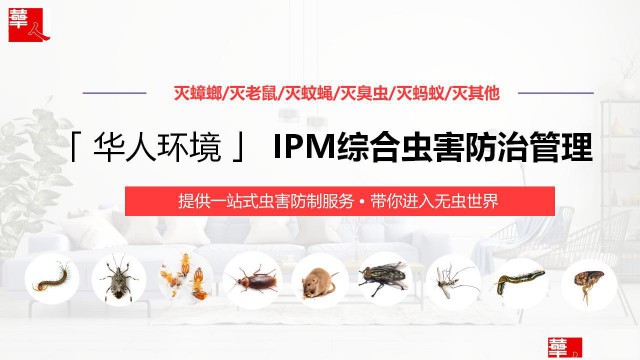 大型仓库老鼠蟑螂虫害消杀上门除四害安全环保包年服务