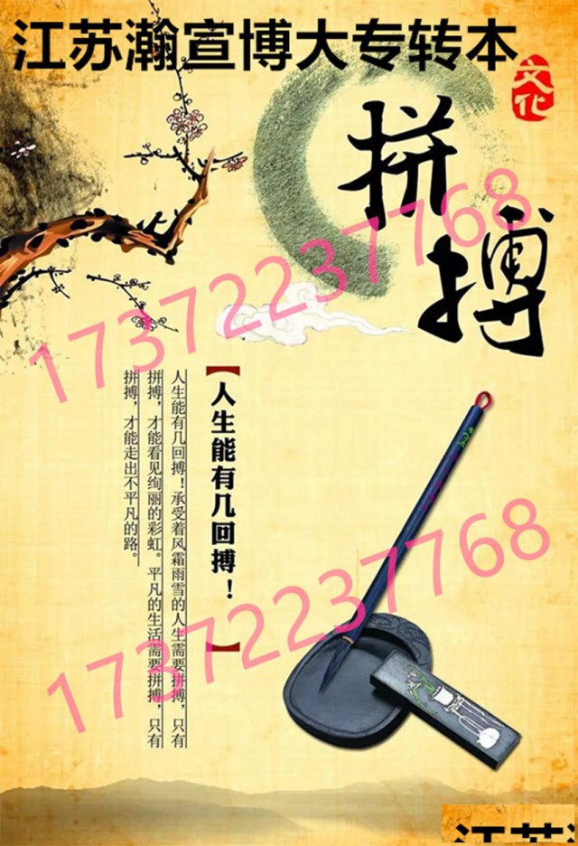 五年制专转本大数据与财务管理专业：对口专业丰富，备考需针对性