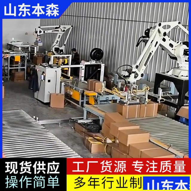 码垛机价格南瓜籽搬运装箱码垛机器人