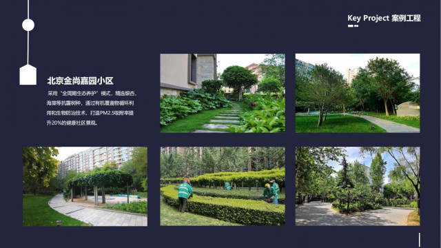 承接厂区园区小区绿化修剪服务修树伐树除草开荒绿植养护