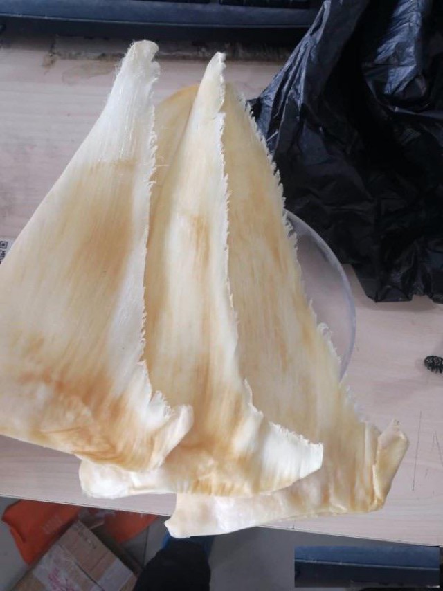 东城区回收鱼胶回收冬虫夏草