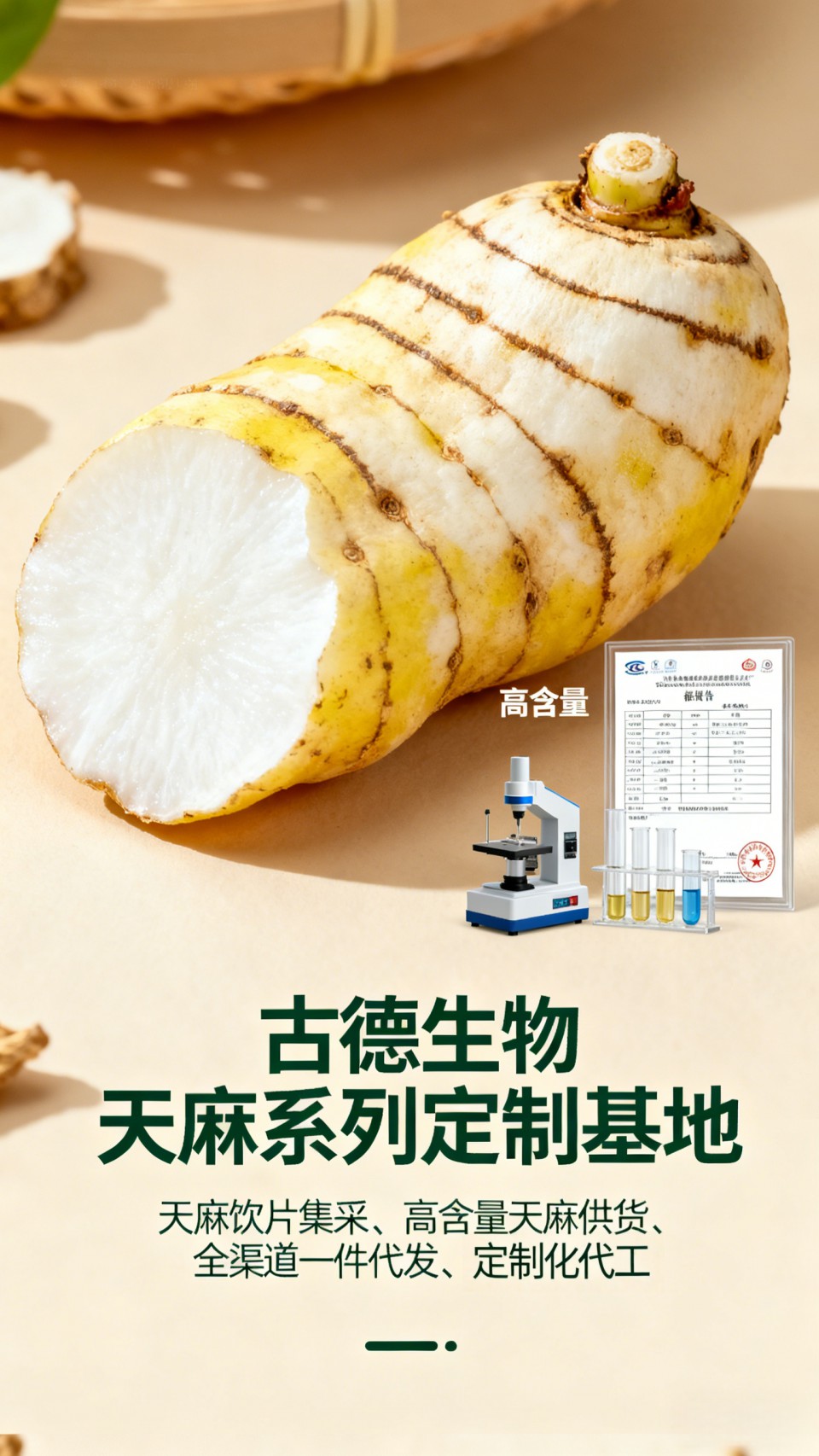 高含量天麻集采合作古德生物浸出物20%提供代工服务