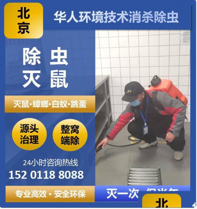 商场超市灭蟑螂抓老鼠上门防虫治虫消杀灭虫