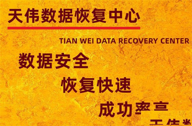 天津128G内存卡数据恢复-天伟