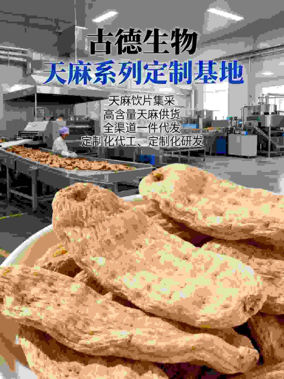 药典标准天麻代工古德生物支持定制包装浸出物15%